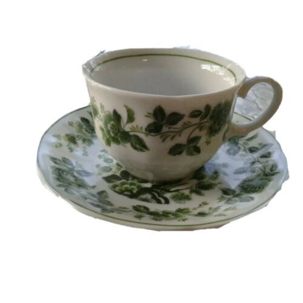 Tamayo China Porcelain Teacup and Saucer Set, Rose Vine Design